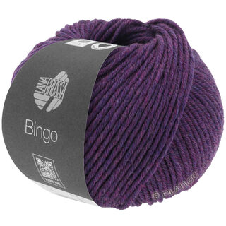 Lana Grossa BINGO Mélange (We Care)
