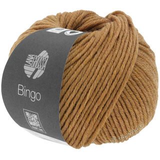 Lana Grossa BINGO Mélange (We Care)
