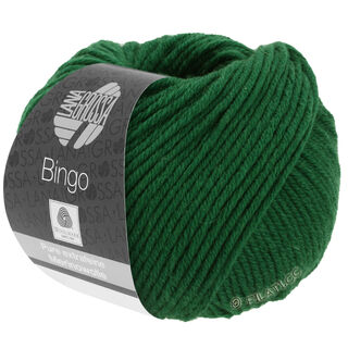 Lana Grossa BINGO  Uni/Melange