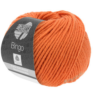 Lana Grossa BINGO  Uni/Melange