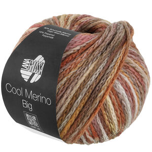 Lana Grossa COOL MERINO Big Color | 406-Nougat/Beige/Taupe/Cognac/Rosenholz/Silbergrau/Graubraun/Altrosa