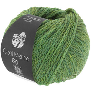 Lana Grossa COOL MERINO Big | 204-Grün