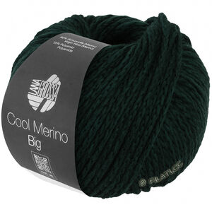 Lana Grossa COOL MERINO Big | 238-Tannengrün