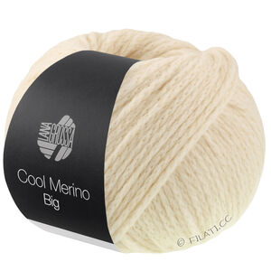 Lana Grossa COOL MERINO Big | 241-Muschel