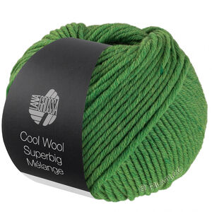 Lana Grossa COOL WOOL Superbig Mélange | 211-Grün meliert