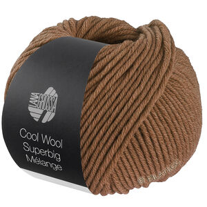 Lana Grossa COOL WOOL Superbig Mélange | 229-Nougat meliert
