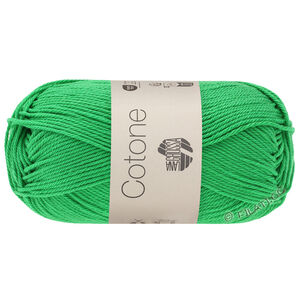 Lana Grossa COTONE | 046-Grün