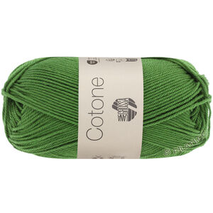 Lana Grossa COTONE | 054-Farngrün