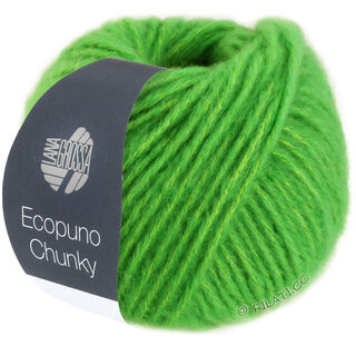 Lana Grossa ECOPUNO Chunky