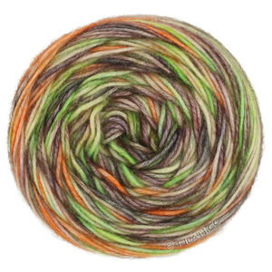 Lana Grossa ECOPUNO Hand-dyed | 54-Hellgrün/Taupe/Sandbeige/Orange/Anthrazit