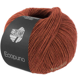 Lana Grossa ECOPUNO | 211-Erdbraun