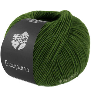 Lana Grossa ECOPUNO | 221-Grasgrün