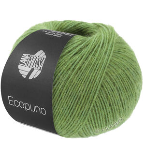 Lana Grossa ECOPUNO | 225-Birnengrün