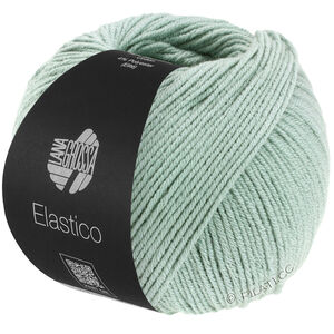 Lana Grossa ELASTICO | 120-Graugrün