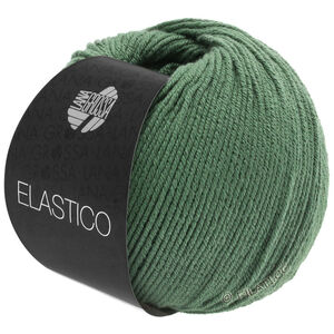 Lana Grossa ELASTICO | 141-Resedagrün
