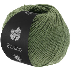 Lana Grossa ELASTICO | 156-Oleandergrün