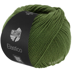 Lana Grossa ELASTICO | 192-Blattgrün