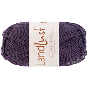 Lana Grossa LANDLUST DIE SOCKENWOLLE 50g Mélange | 1601-Dunkelviolett meliert