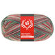 Lana Grossa MEILENWEIT 100g Merino Christmas | 6807-Weiß/Dunkelgrün/Dunkelbraun/Orange/Hellgrün