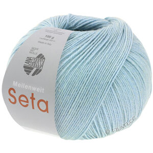 Lana Grossa MEILENWEIT 100g Seta | 22-Hellblau