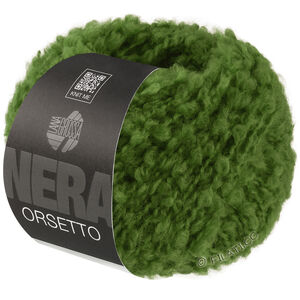 Lana Grossa ORSETTO (Nera) | 23-Grün