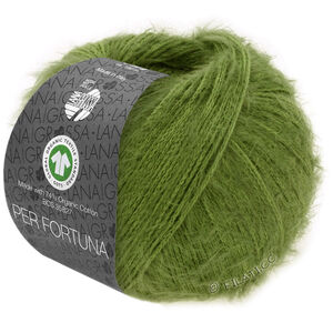 Lana Grossa PER FORTUNA (GOTS) | 58-Grün