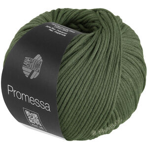 Lana Grossa PROMESSA | 17-Lodengrün
