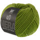 Lana Grossa WINTER SOFTNESS (Nera) | 27-Grün