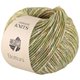 Lana Grossa BOTTONI | 12-Grünbraun/Creme