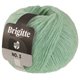 Lana Grossa BRIGITTE NO. 2 | 76-Mint