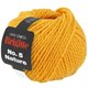 Lana Grossa BRIGITTE NO. 5 Nature | 010-Gelb