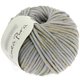 Lana Grossa CASHSILK Metal (Linea Pura) | 310-Hellgrau/Gold