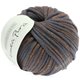 Lana Grossa CASHSILK Metal (Linea Pura) | 311-Dunkelgrau/Kupfer