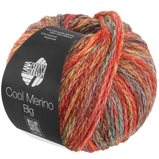 Lana Grossa COOL MERINO Big Color