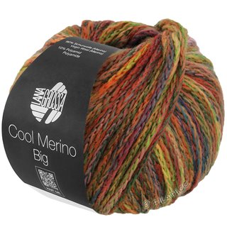 Lana Grossa COOL MERINO Big Color