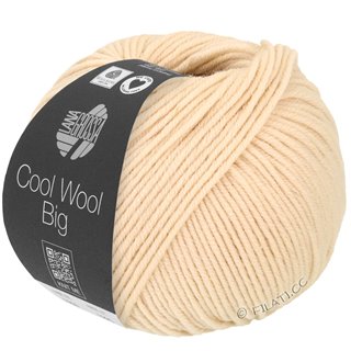 Lana Grossa COOL WOOL Big Uni/Melange