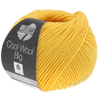 Lana Grossa COOL WOOL Big Uni/Melange