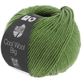 Lana Grossa COOL WOOL Big Mélange (We Care)