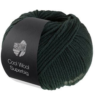 Lana Grossa COOL WOOL Superbig