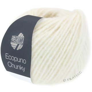 Lana Grossa ECOPUNO Chunky