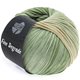 Lana Grossa FINE Degradè | 16-Beige/Graugrün/Moosgrün