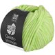 Lana Grossa GELATO Vintage | 107-Frühlingsgrün/Weiß