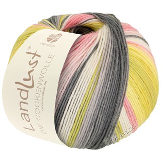 Lana Grossa LANDLUST DIE SOCKENWOLLE 150g 6-Fach
