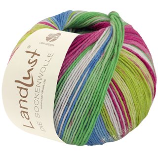 Lana Grossa LANDLUST DIE SOCKENWOLLE 150g 6-Fach