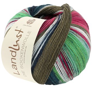 Lana Grossa LANDLUST DIE SOCKENWOLLE 150g 6-Fach