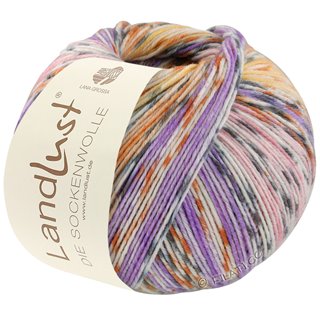 Lana Grossa LANDLUST DIE SOCKENWOLLE 150g 6-Fach