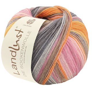 Lana Grossa LANDLUST DIE SOCKENWOLLE 150g 6-Fach