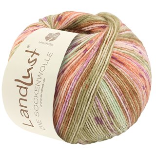 Lana Grossa LANDLUST DIE SOCKENWOLLE 150g 6-Fach