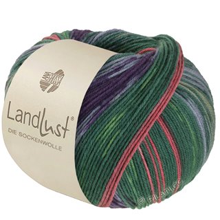 Lana Grossa LANDLUST DIE SOCKENWOLLE