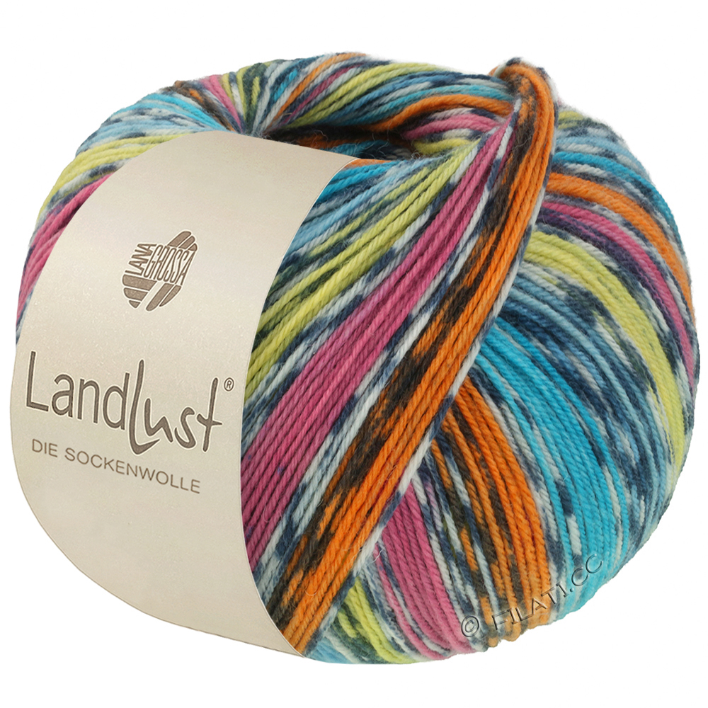 Lana Grossa LANDLUST DIE SOCKENWOLLE | 825-